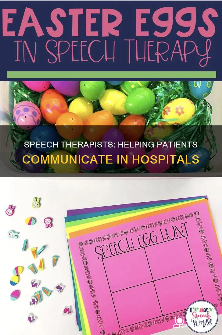 what do speech therapist do in hospitals