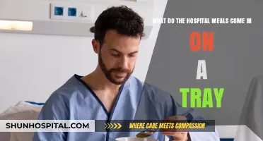 Hospital Meal Trays: Unveiling the Contents and Presentation