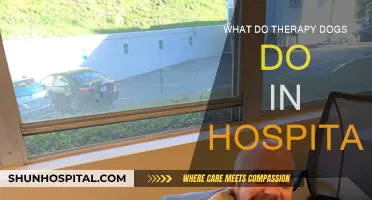 Therapy Dogs: Healing Patients in Hospitals