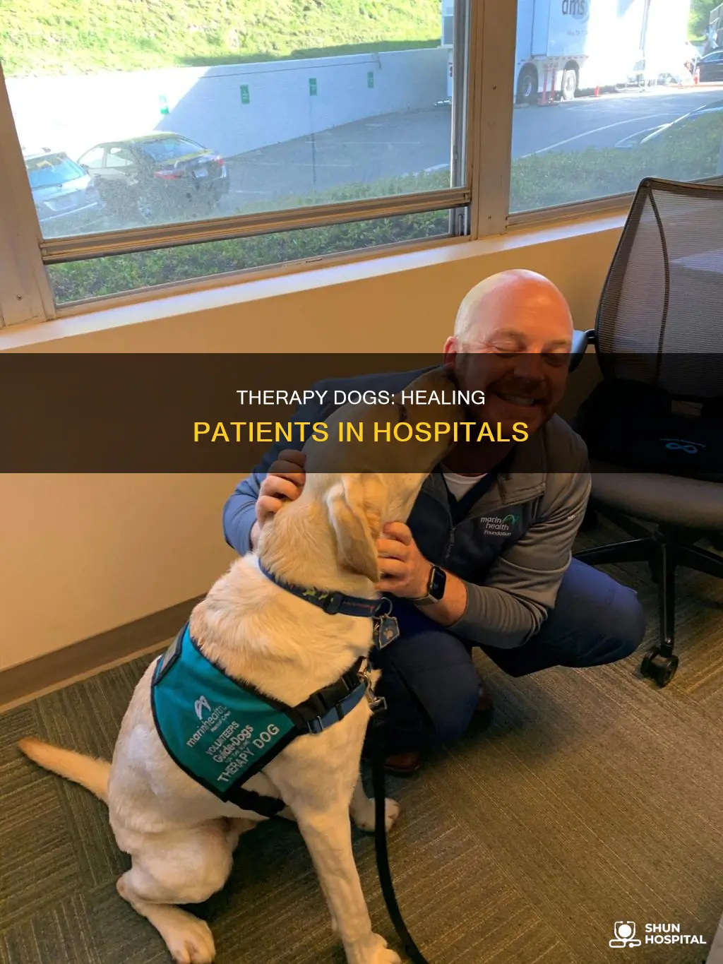 what do therapy dogs do in hospitals