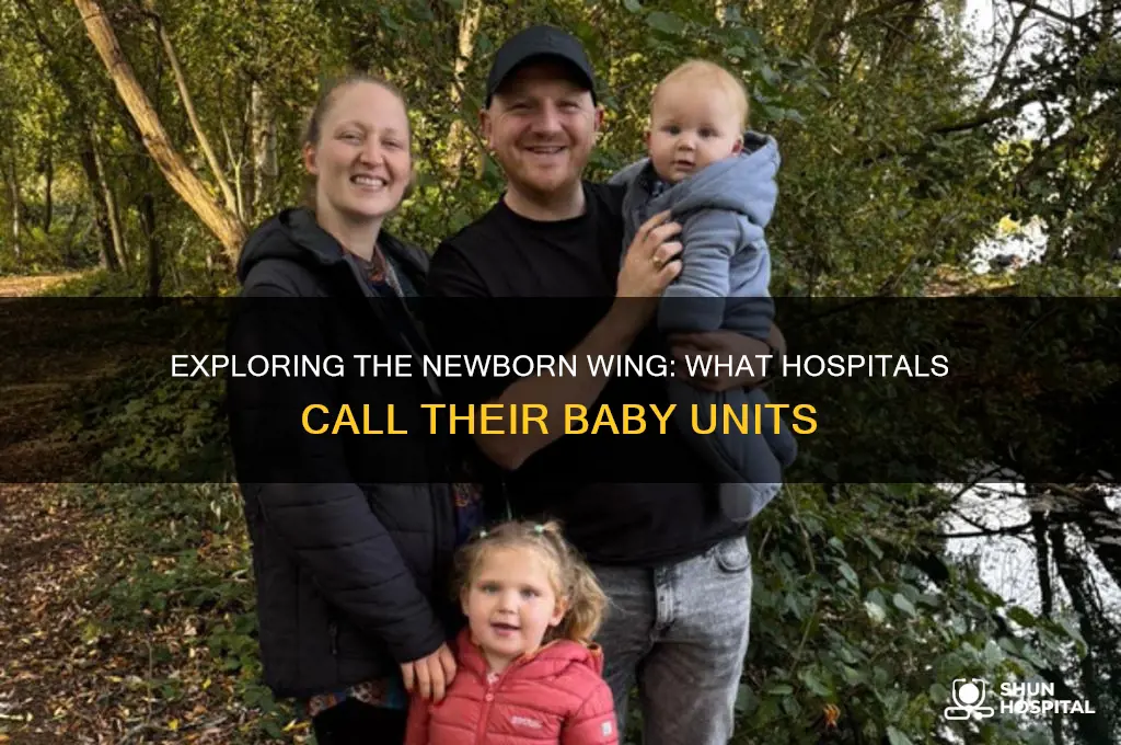 what do they call the newborn wing of hospitals