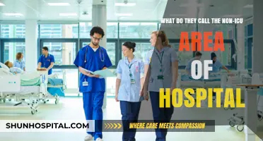 Beyond Intensive Care: Understanding Non-ICU Hospital Wards and Their Roles