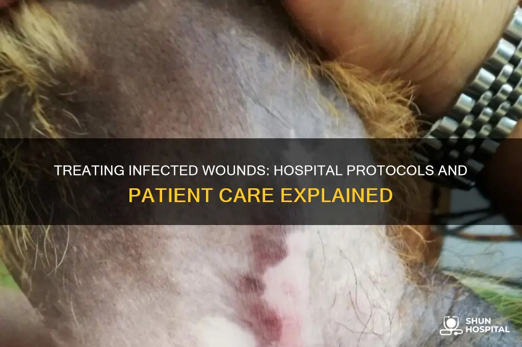 what do they do for an infected wound in hospital