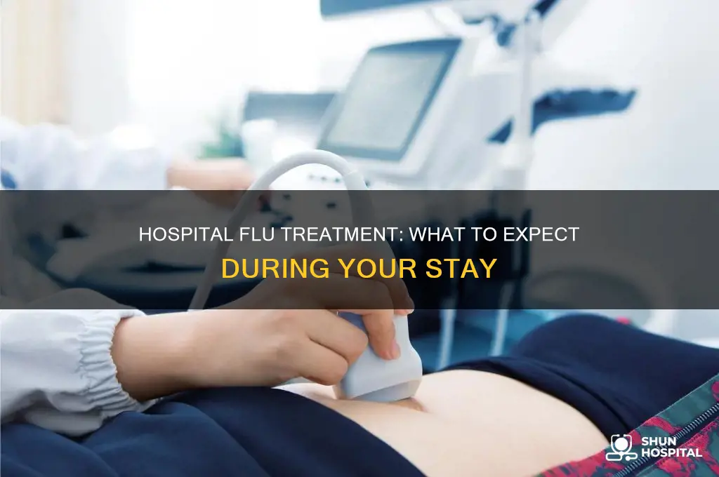 what do they do for the flu in the hospital