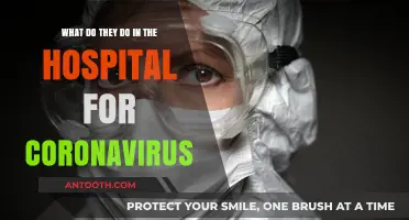 Understanding Hospital Care for Coronavirus Patients: Procedures and Protocols