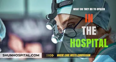 Unveiling Ofglen's Hospital Ordeal: A Chilling Analysis of Her Treatment