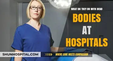 Handling the Deceased: Hospital Procedures for Dead Bodies Explained