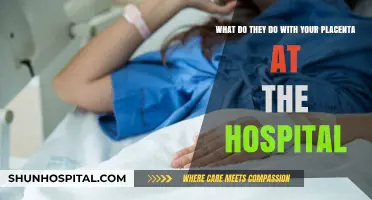 What Happens to Your Placenta After Birth: Hospital Procedures Explained