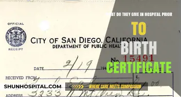 Essential Hospital Documents Before Birth Certificate: What New Parents Receive