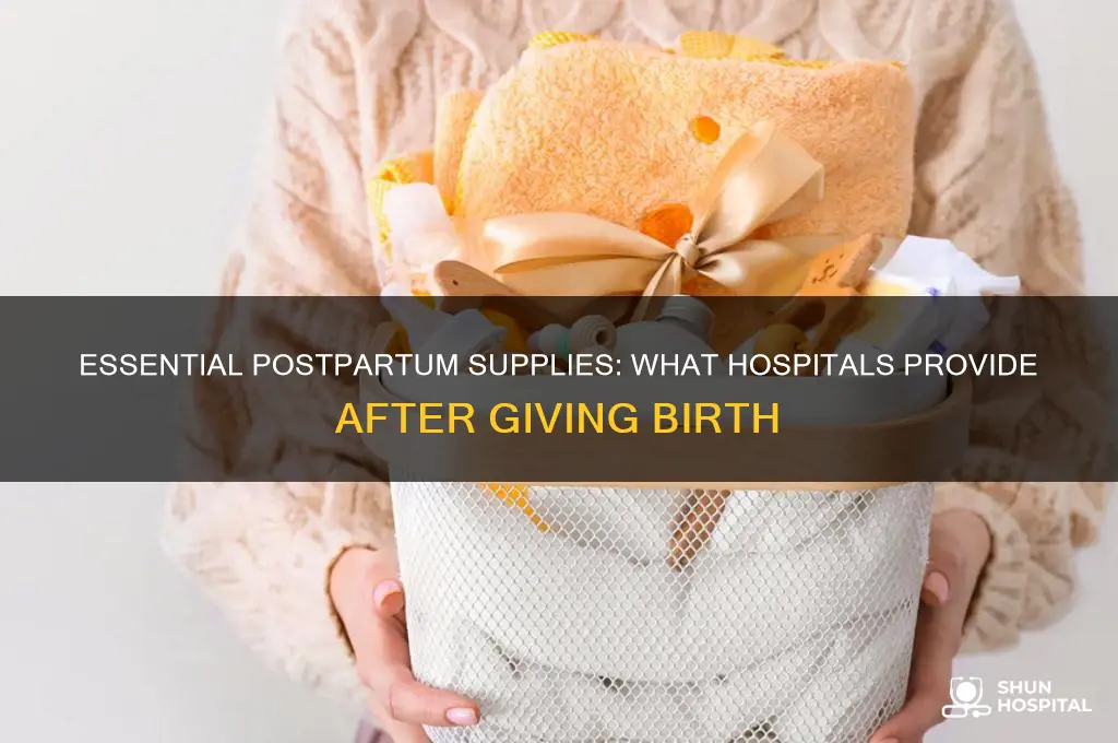 what do they give you at the hospital after birth