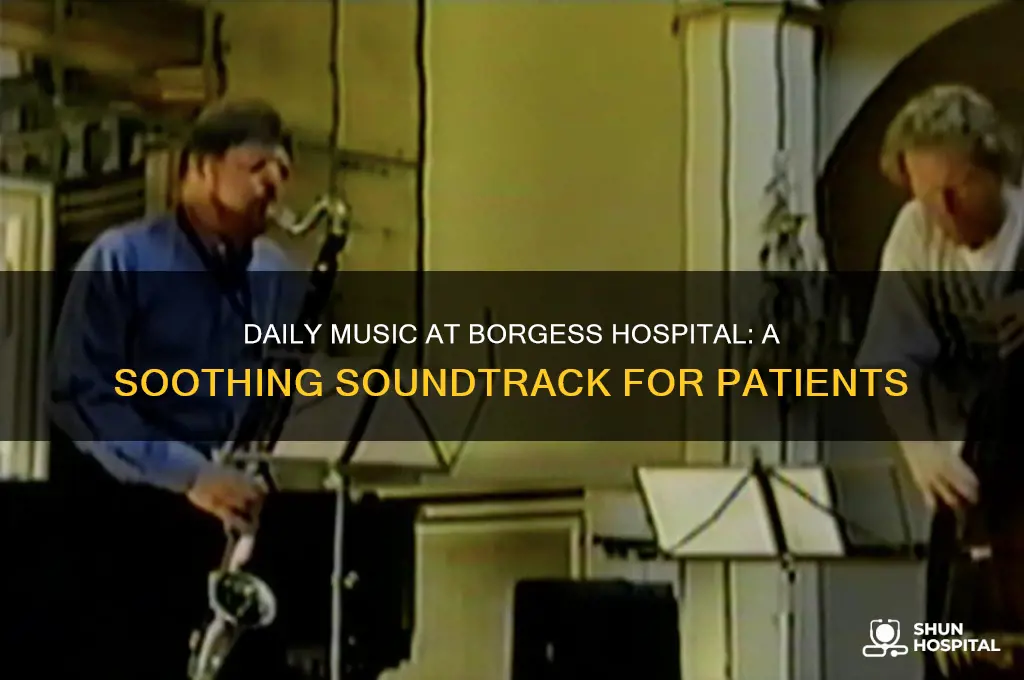 what do they play at borgess hospital every day