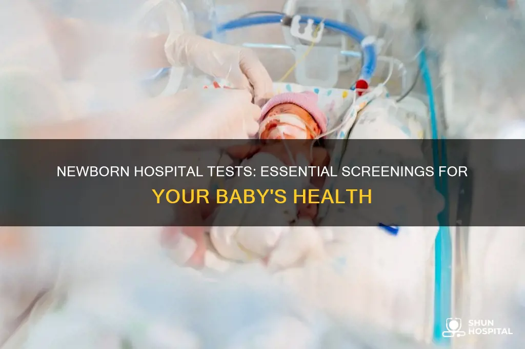 what do they test newborns for in the hospital