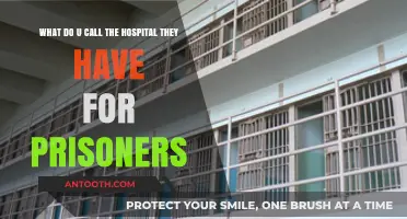 Prisoner Healthcare: Understanding the Role of Correctional Facilities' Hospitals