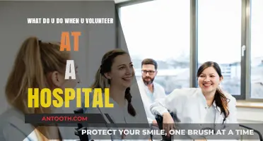 Volunteering at a Hospital: Roles, Responsibilities, and Impactful Ways to Help