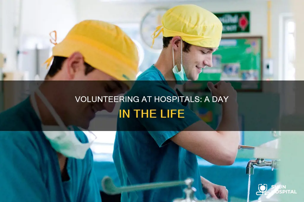 what do volunteers at a hospital do