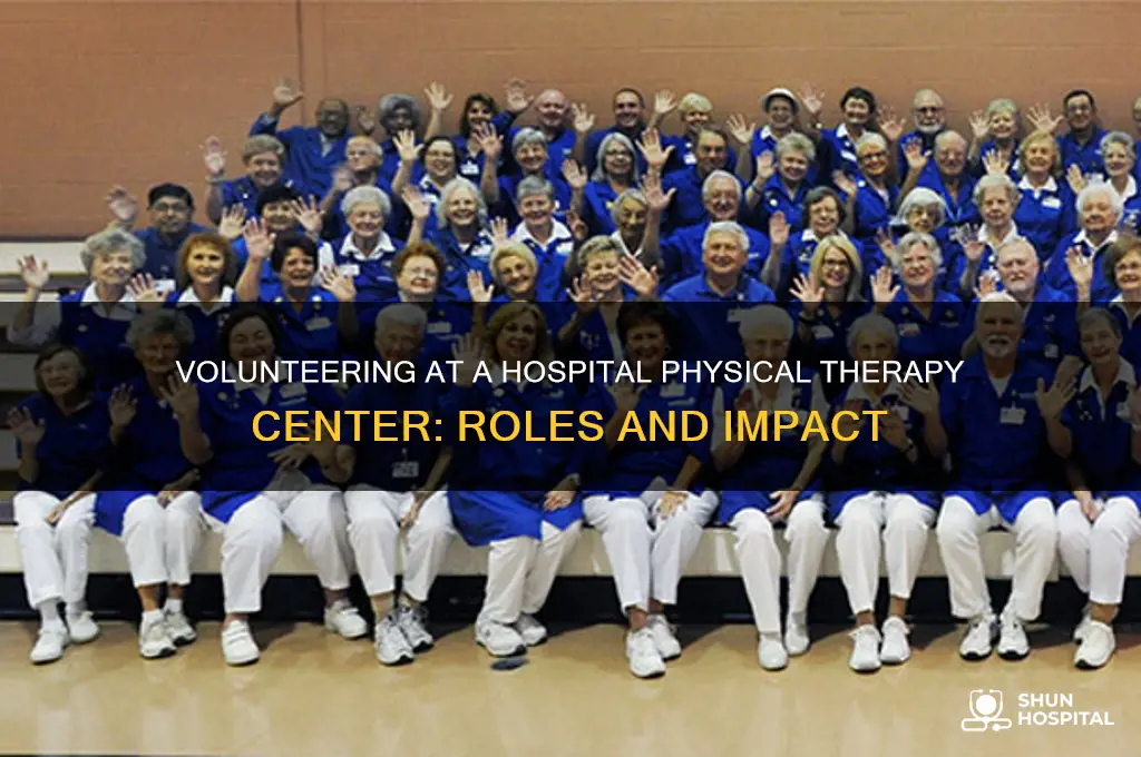 what do volunteers at physical therapy center at a hospital