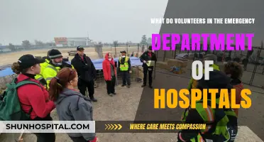 Emergency Department Volunteers: Roles, Impact, and How to Get Involved