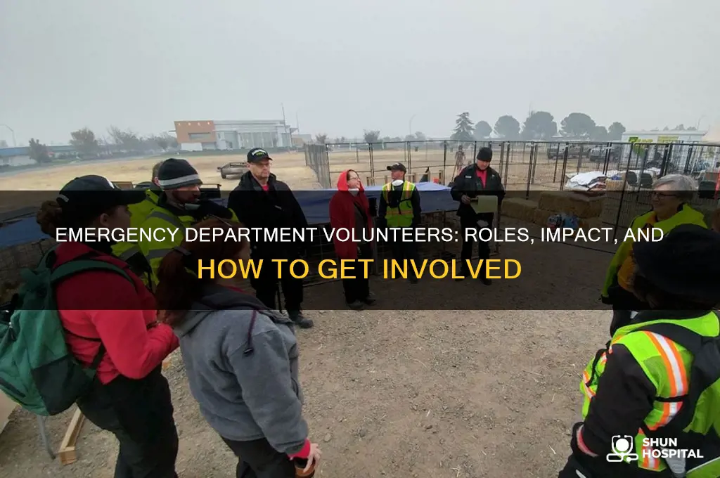 what do volunteers in the emergency department of hospitals