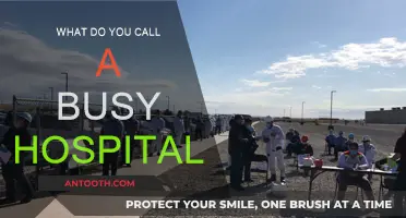 Hospital Hustle: The Rush Hour of Medical Emergencies