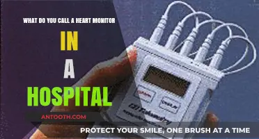 Understanding Hospital Heart Monitors: Names, Functions, and Importance