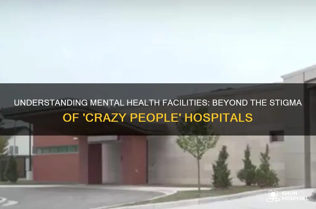 what do you call a hospital for crazy people