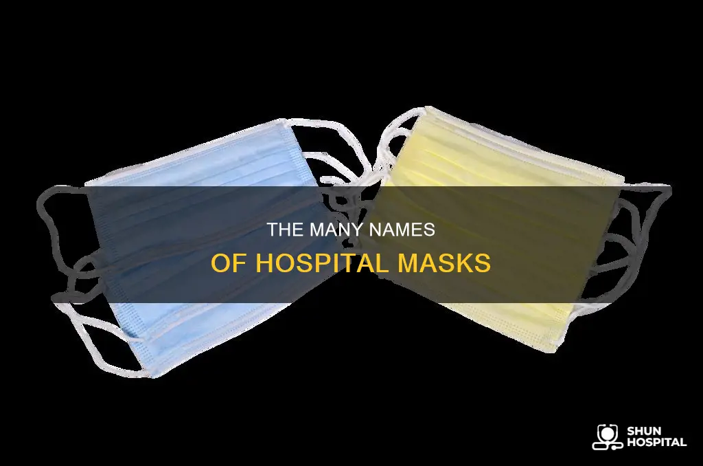 what do you call a hospital mask