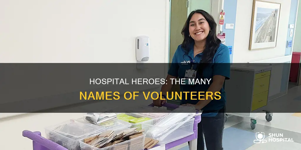 what do you call a hospital volunteer