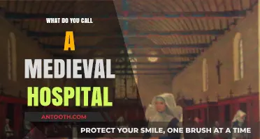 Medieval Medical Care: The 'Hospital' Title