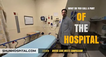 Exploring Hospital Departments: Understanding the Names of Key Areas