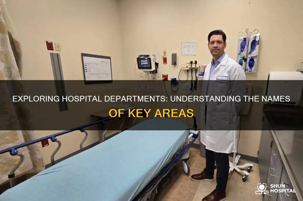 what do you call a part of the hospital