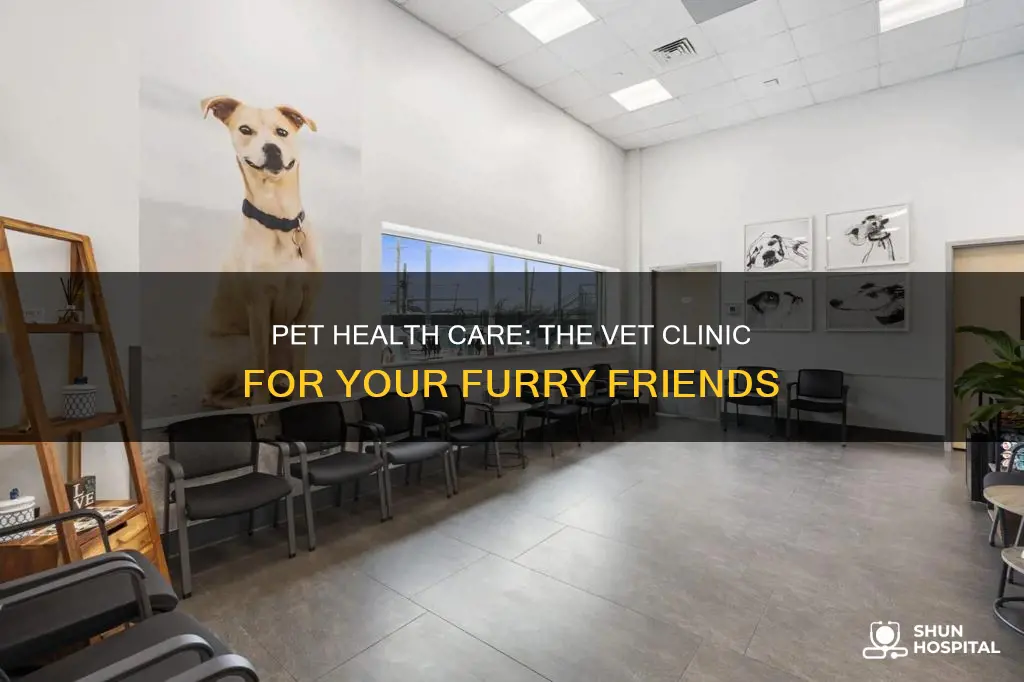 what do you call a pet hospital