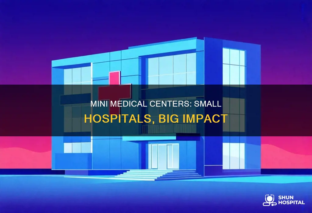 what do you call a small hospital
