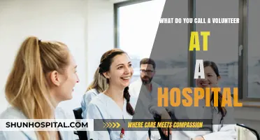 Hospital Heroes: Understanding the Role of Volunteers in Healthcare
