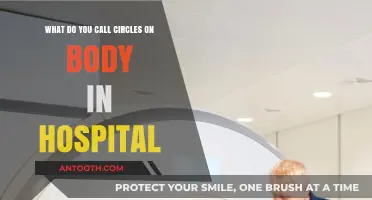 Understanding Hospital Body Circles: Names, Purposes, and Common Uses