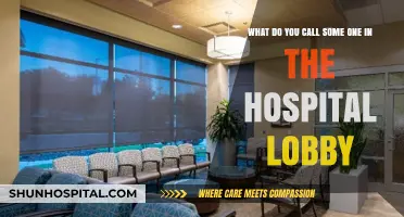 Hospital Lobby Visitors: What to Call People in the Waiting Area