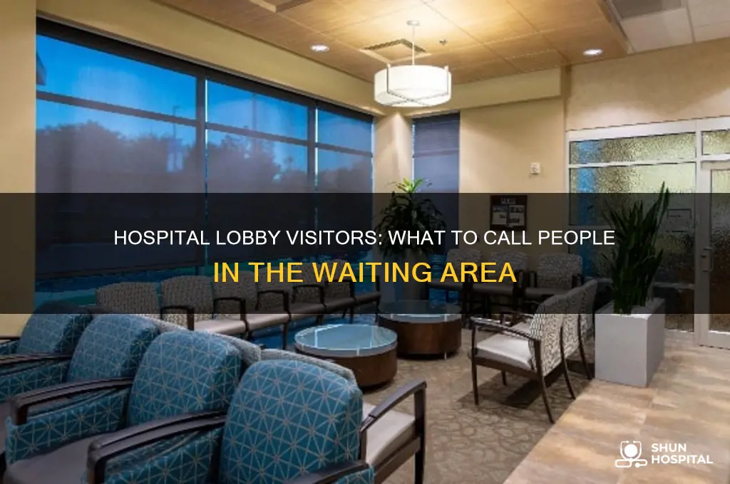 what do you call some one in the hospital lobby