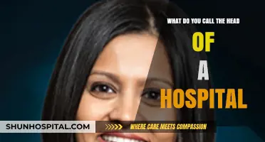 Who's in Charge? Understanding the Role of a Hospital's Chief Executive