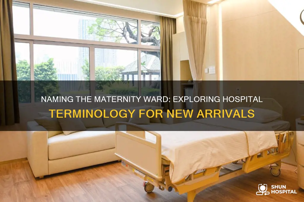 what do you call the maternity floor at a hospital