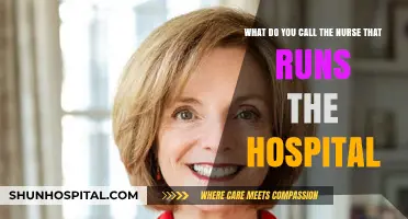 The Unseen Leader: Understanding the Role of a Nurse Executive
