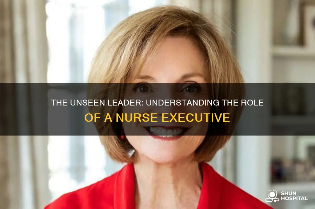 what do you call the nurse that runs the hospital