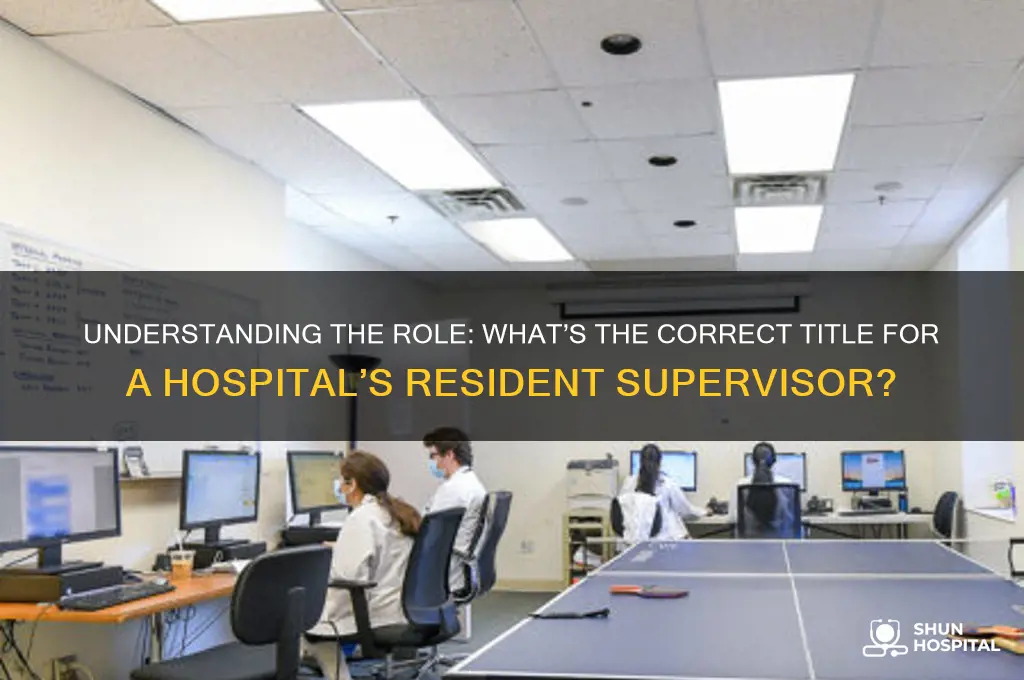 what do you call the residents boss at the hospital