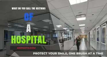 Understanding Hospital Layouts: Names and Functions of Key Departments