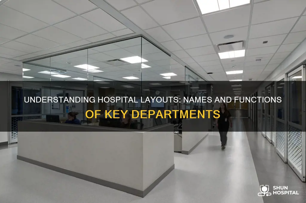 what do you call the sections of a hospital
