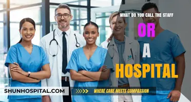 Hospital Staff Roles: Understanding the Titles and Responsibilities of Healthcare Teams