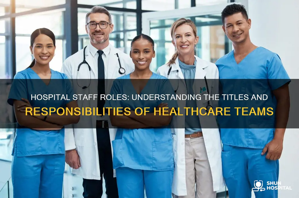 what do you call the staff or a hospital