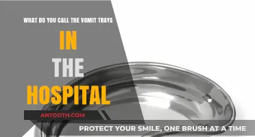 Hospital Vomit Trays: Unveiling the Proper Name and Purpose