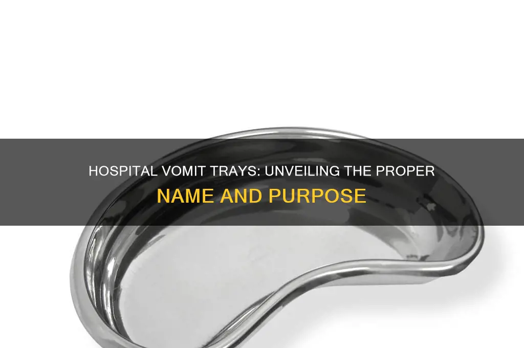 what do you call the vomit trays in the hospital