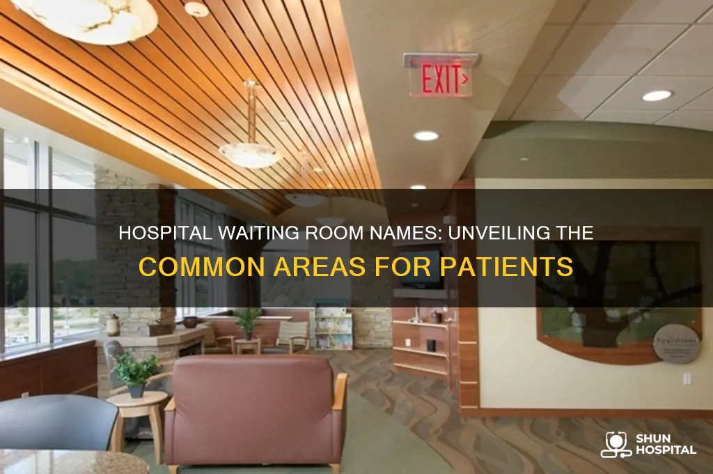 what do you call the waiting room in a hospital