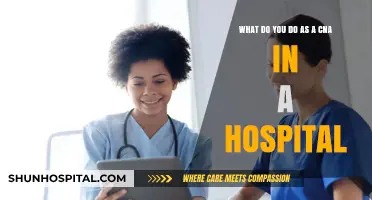 CNA Hospital Role: Essential Duties and Daily Responsibilities Explained