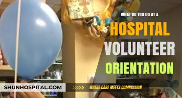 Hospital Volunteer Orientation: What to Expect and How to Prepare